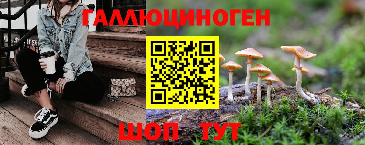 Псилоцибиновые грибы GOLDEN TEACHER  Вход с VPN  Владивосток 